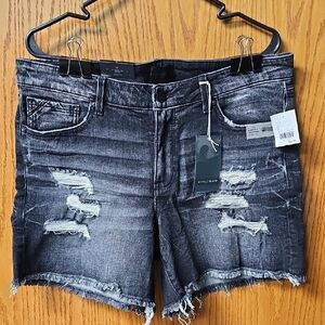 American Eagle Outfitters Gray Distressed Jean Shorts